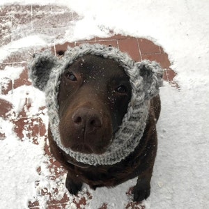 Knitting pattern #074 - Dog Bear Snood, Dog Ear Warmer, Dog Hood - pdf tutorial