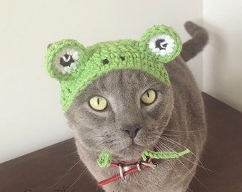Könnte beinhalten: Eine graue Katze trägt eine grüne gehäkelte Frosch-Mütze mit weißen Augen. Die Katze schaut direkt in die Kamera. Die Mütze hat einen grünen Körper und weiße Ohren. Die Katze trägt ein rotes Halsband.