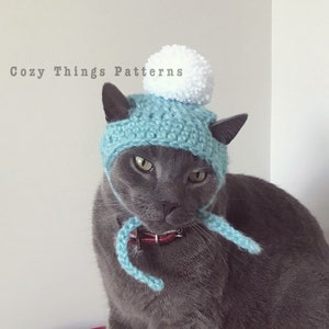 Winter Cat Hat 