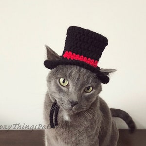 Cat Snowman, Cat Wedding Hat, Hat for Cat, Small Dog Top Hat, Pet Costumes, Animal photo prop, Hats for cats