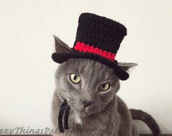 Cat Snowman, Cat Wedding Hat, Hat for Cat, Small Dog Top Hat, Pet Costumes, Animal photo prop, Hats for cats
