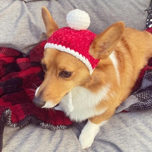 Medium dog Santa hat for Corgi / Santa hat for dog / Christmas hat for dogs / Pet Christmas Costume - pdf tutorial
