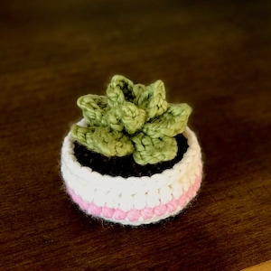 Crochet pattern #075 - Crochet Succulent Plush Toy, Flower Amigurumi, Succulent Crochet Pattern  - Pdf Tutorial, Crochet pattern