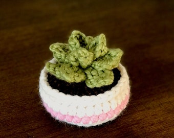 Crochet pattern #075 - Crochet Succulent Plush Toy, Flower Amigurumi, Succulent Crochet Pattern  - Pdf Tutorial, Crochet pattern