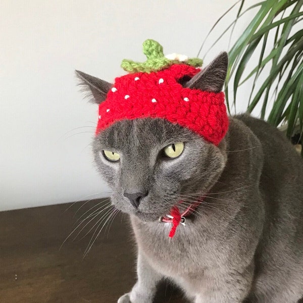 Crochet pattern 064 - Cat Strawberry Hat, Small Dog Strawberry Hat, Pet Costumes, Halloween Cat Costume, Animal photo prop, Hats for cats