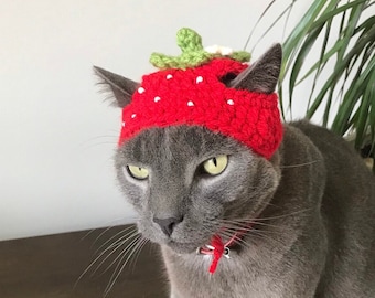 Patrón de crochet 064 - Gorro de fresa para gato, Gorro de fresa para perro pequeño, Disfraces para mascotas, Disfraz de gato para Halloween, Accesorio para fotos de animales, Gorros para gatos
