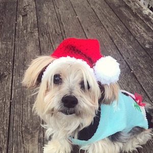 Crochet pattern 057 -Cat - Small Dog Christmas Santa Hat, Christmas cat costume, Cat Christmas Hat, Christmas Hat for Cat, Cat Santa hat