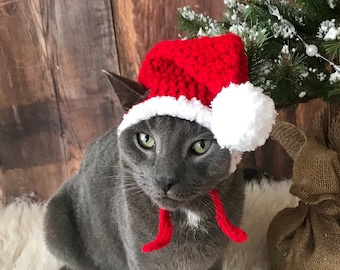 May include: A gray cat wearing a red and white crocheted Santa hat with a white pom-pom. The cat is sitting on a white fluffy surface in front of a wooden background.