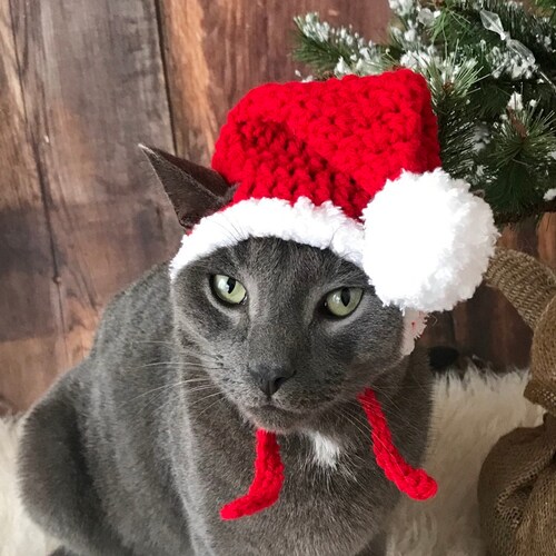 Crochet Pattern 069 Cat Sunflower Hat Small Dog Etsy