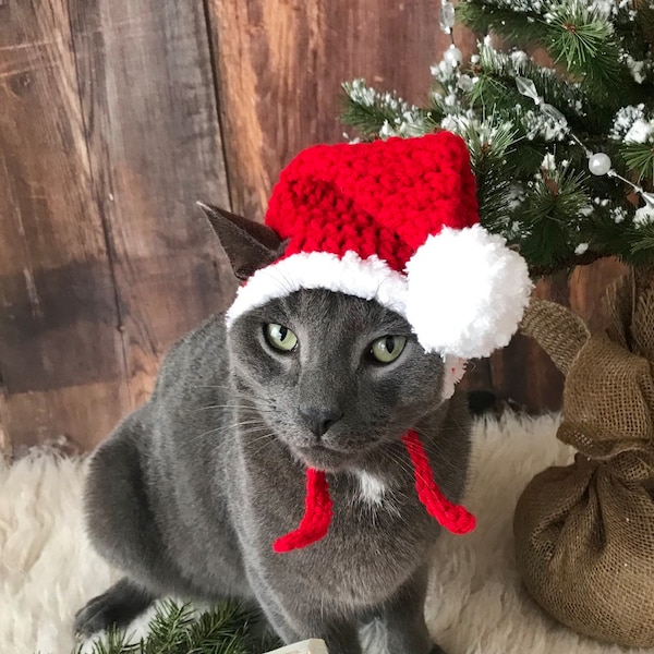 Modello all'uncinetto 057 -Gatto - Cappello da Babbo Natale di Natale per cani piccoli, costume da gatto di Natale, Cappello di Natale per gatti, Cappello di Natale per gatto, Cappello da Babbo Natale per gatti