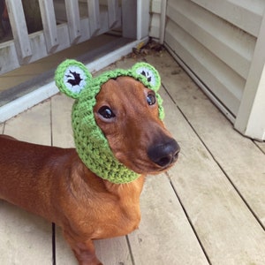 Frog dog snood, Dog hat, Dog hood, Dog snood pet costume