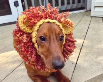 Crochet pattern #085 -  Lion Snood, Dog Ear Warmer, Dog Hood - pdf tutorial