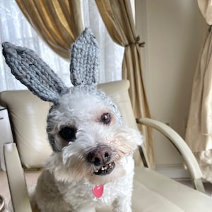 Knitting pattern #079 - Dog Bunny Snood, Dog Ear Warmer, Dog Hood, Dog Bunny Hat - pdf tutorial