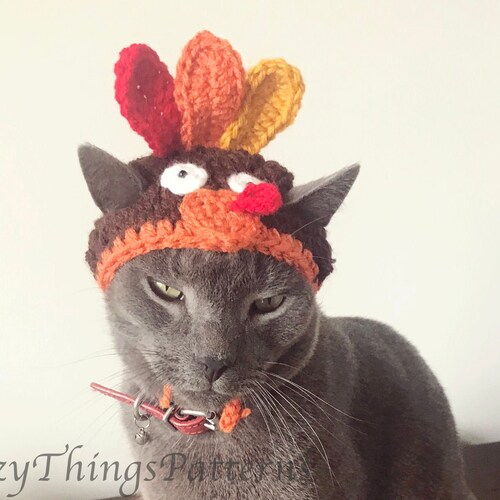 Crochet Pattern 065 Cat Shark Hat Small Dog Shark Hat Etsy