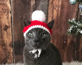 Cat - Small Dog Christmas Santa Hat, Christmas cat costume