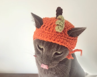 Cat in the Hat Pumpkin Crochet Pumpkin 