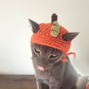 Op de afbeelding: Een grijze kat met een gehaakte pompoenmuts met een groene steel en bruine bladeren. De kat zit op een houten oppervlak en heeft zijn tong uitgestoken.