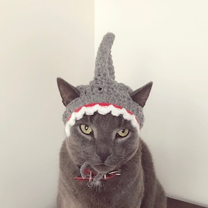 Cat Shark Hat, Small Dog Shark Hat, Cat costumes, Pet Costumes, Halloween Cat Costume, Animal photo prop, Hats for cats