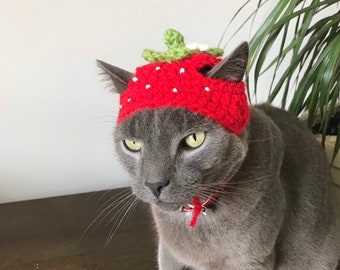 Cat Strawberry Hat,  Small Dog Strawberry Hat, Halloween Cat Costume, Halloween Dog Costume, Strawberry Hat for Cat, Pet Photo Prop