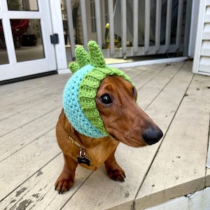 May include: A brown dachshund wearing a handmade crochet hat. The hat is light blue with a green trim and three green spikes on top. The dog is sitting on a wooden deck.