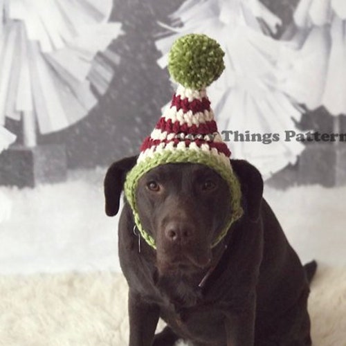 Crochet Pattern 057 cat Small Dog Christmas Santa Hat Etsy