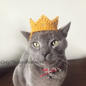 Cat Crown, Small Dog Crown, Cat Birthday Costume, Dog Birthday Costume