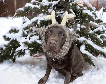 Breipatroon #088 - Hond dikke rendiersnood, hondenoorwarmer, hondenkap - pdf-tutorial