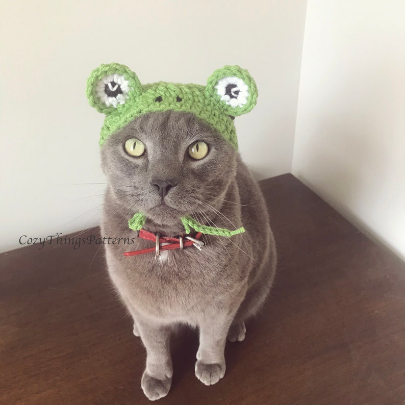 Puede incluir: Un gato gris con un gorro de rana de crochet verde con ojos blancos. El gato est&aacute; sentado en una superficie de madera.