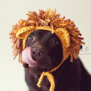 Crochet pattern #041 - Large dog Lion hat, Halloween hat for dogs, Halloween dog costume - pdf tutorial