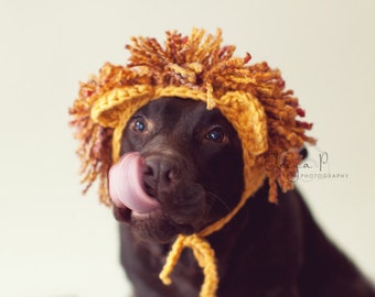 Crochet pattern #041 - Large dog Lion hat, Halloween hat for dogs, Halloween dog costume - pdf tutorial