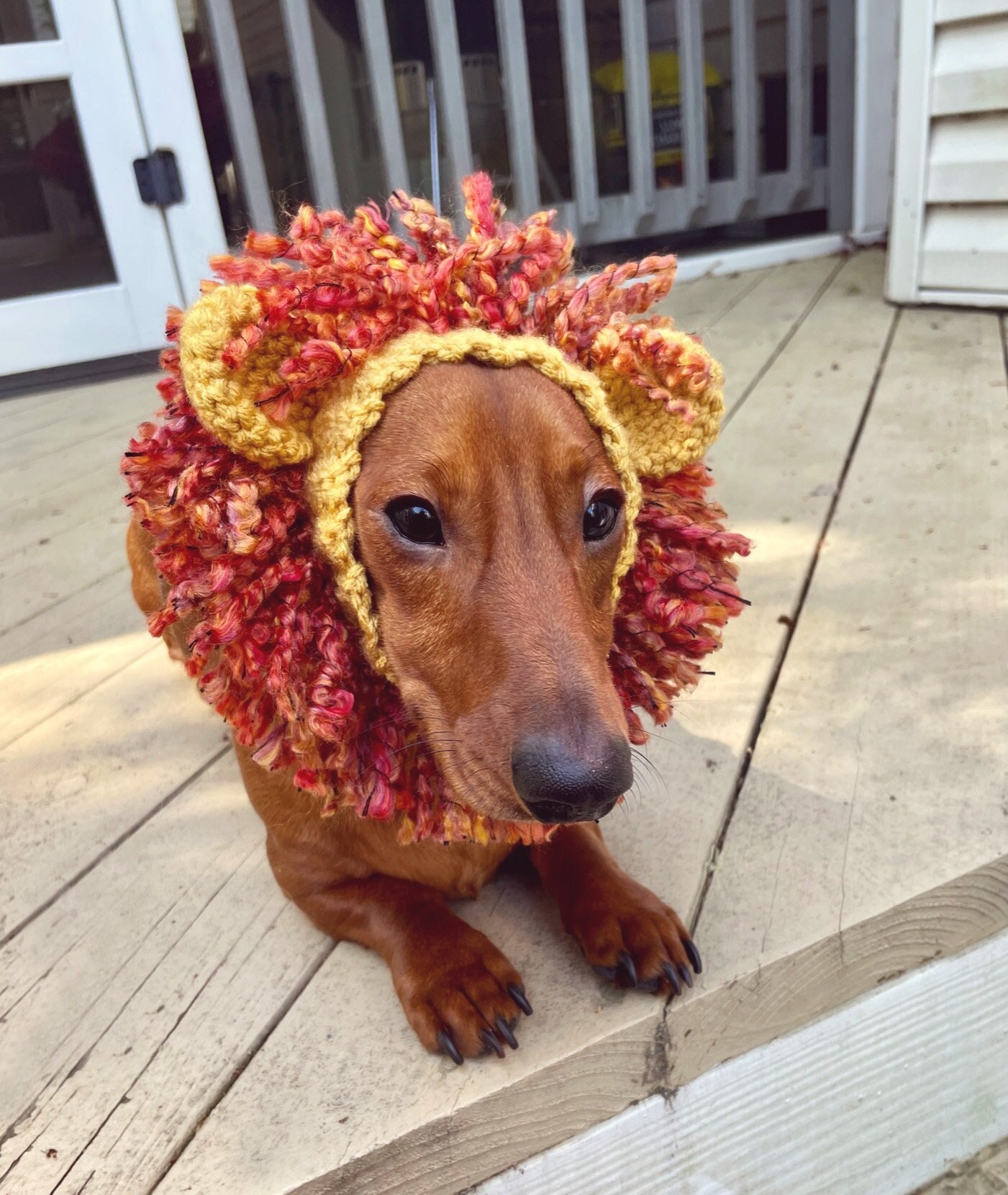Crochet Pattern #085 - Lion Snood, Dog Ear Warmer, Dog Hood - Pdf