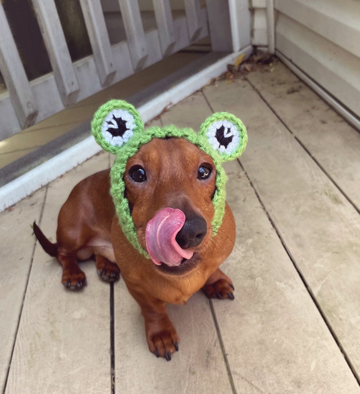 Crochet Pattern #086 - Frog Snood, Dog Ear Warmer, Dog Hood - Pdf