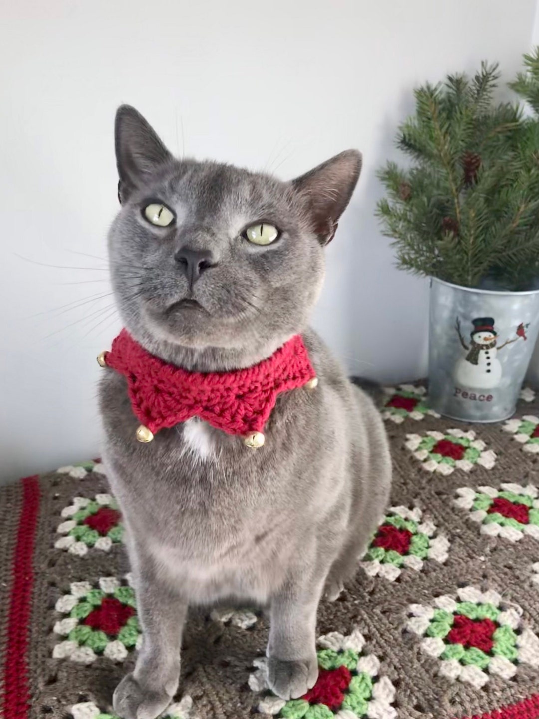 Cat Collar / Small Dog Christmas Collar With Bells, Christmas Cat Costume, Dog Christmas Costume