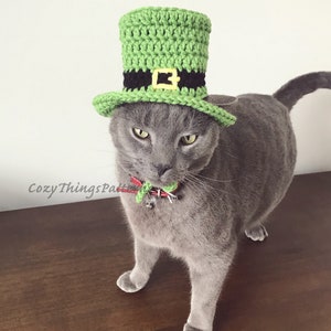 Pu&ograve; includere: Un gatto grigio che indossa un cappello da folletto verde all'uncinetto con una fascia nera e una fibbia dorata. Il gatto sta guardando la telecamera.