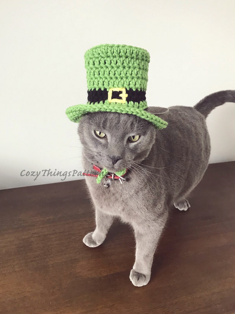 Pu&ograve; includere: Un gatto grigio che indossa un cappello da folletto verde all'uncinetto con una fascia nera e una fibbia dorata. Il gatto sta guardando la telecamera.