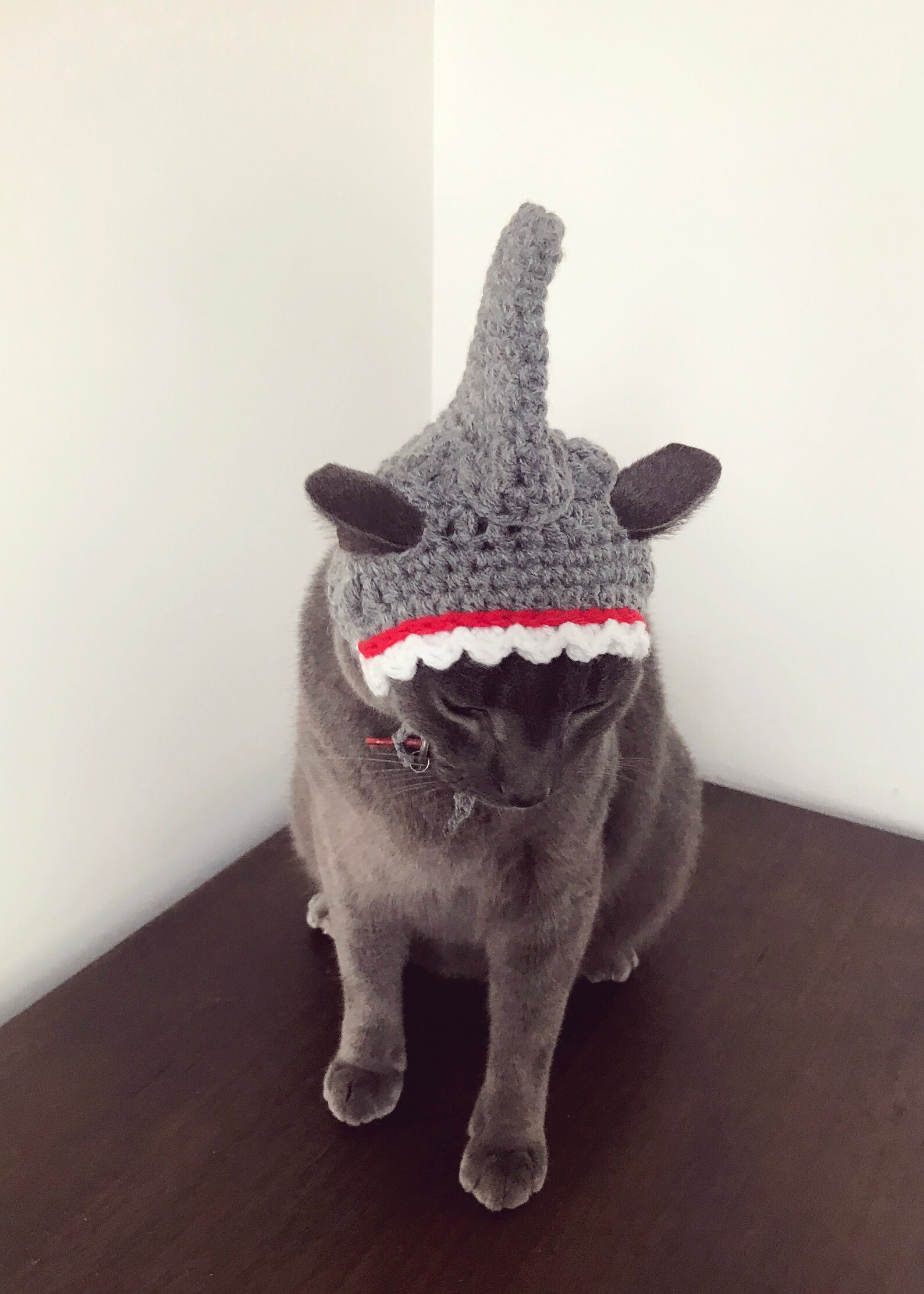 Crochet pattern 065 Cat Shark Hat Small Dog Shark Hat Etsy