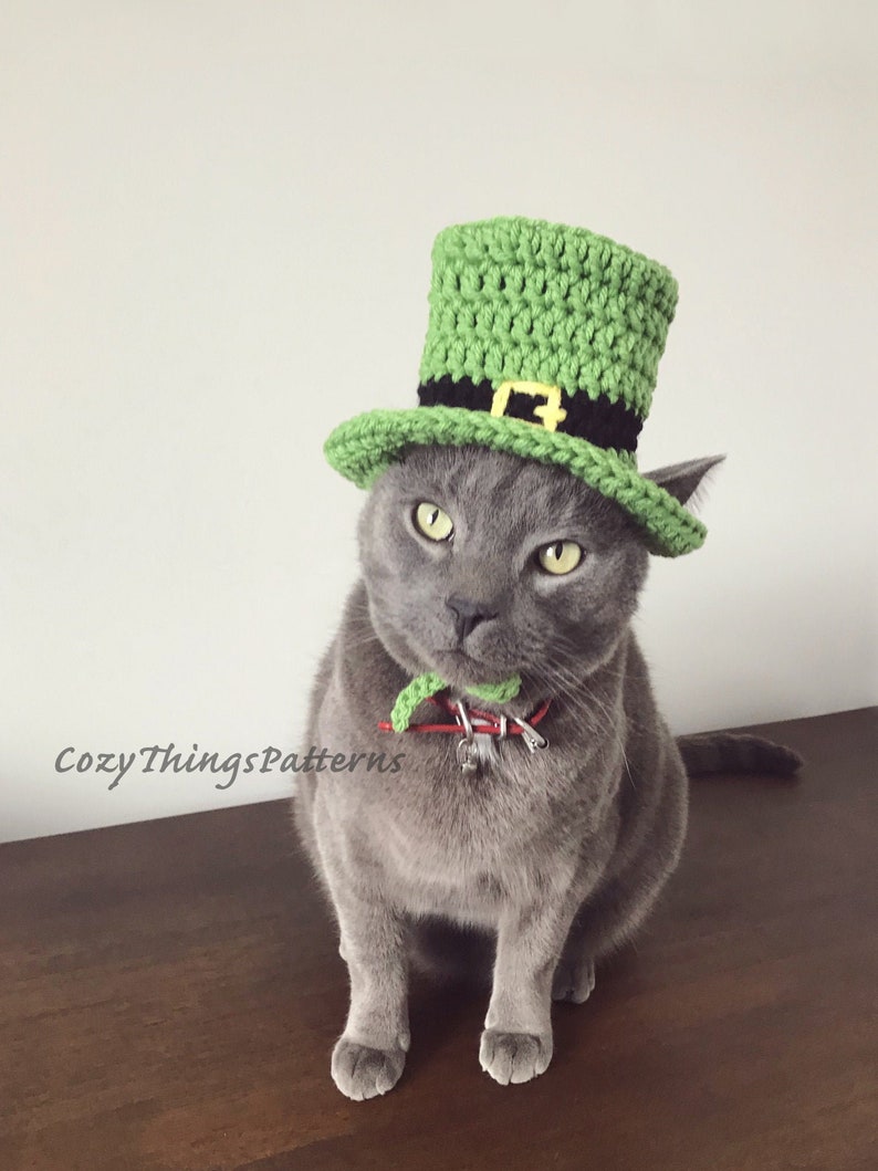 Pu&ograve; includere: Un gatto grigio che indossa un cappello da folletto verde all'uncinetto con una fascia nera e una fibbia dorata. Il gatto &egrave; seduto su una superficie di legno.