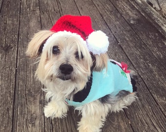 Costume De Noël Pour Chien & Chat – Bonnet Père Noël + Écharpe – Taille Unique Petit Animal – Rouge Et Blanc – Pour Fêtes Et Photos