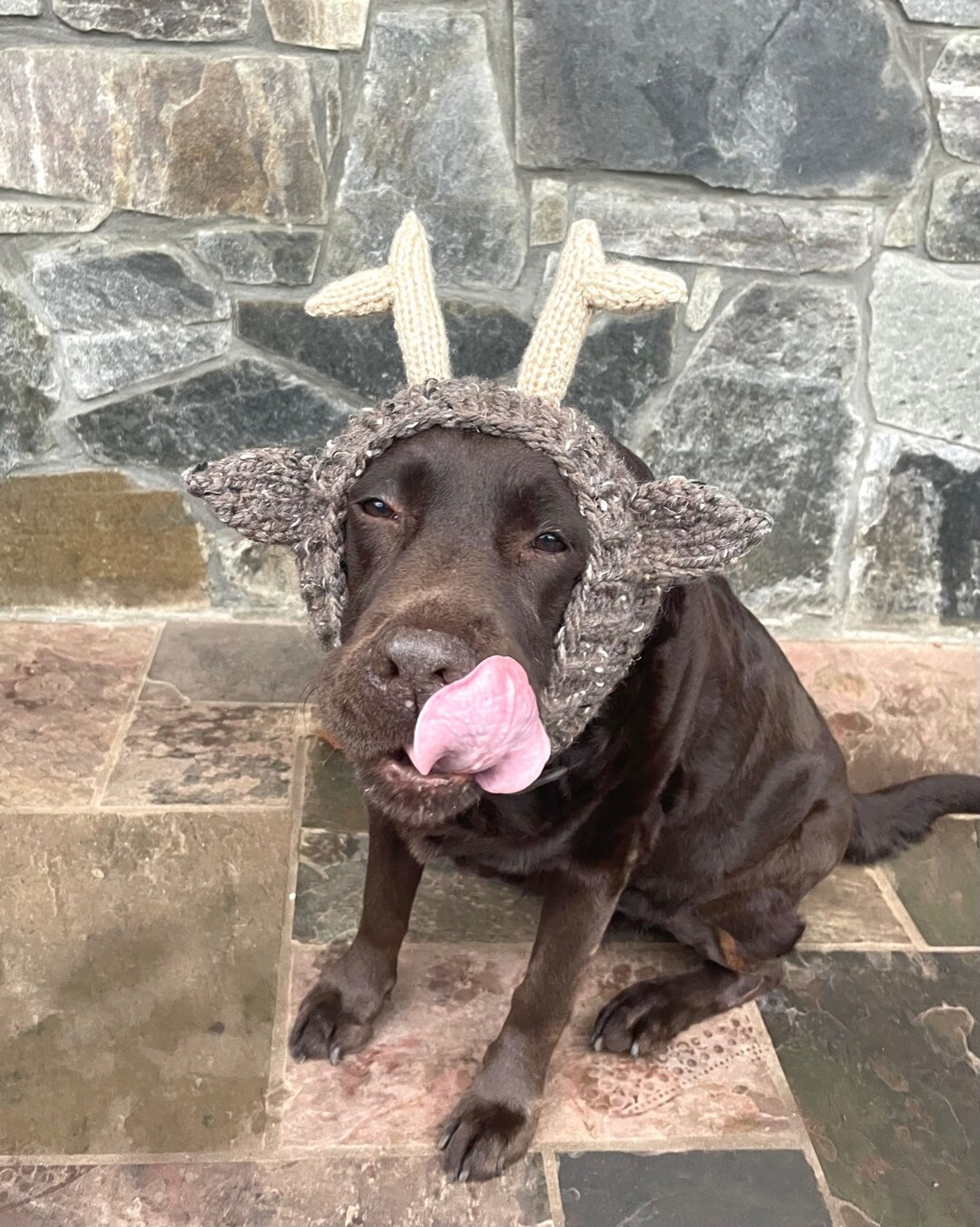 Knitting Pattern 088 Dog Chunky Reindeer Snood, Dog Ear Warmer, Dog