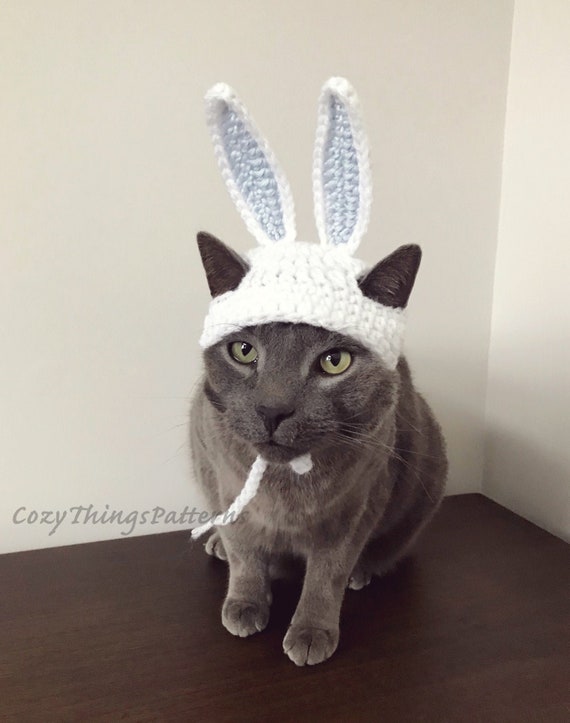 Cat Easter Outfit USA Online Clc cet edu Cat Easter Outfit USA Online Clc cet edu