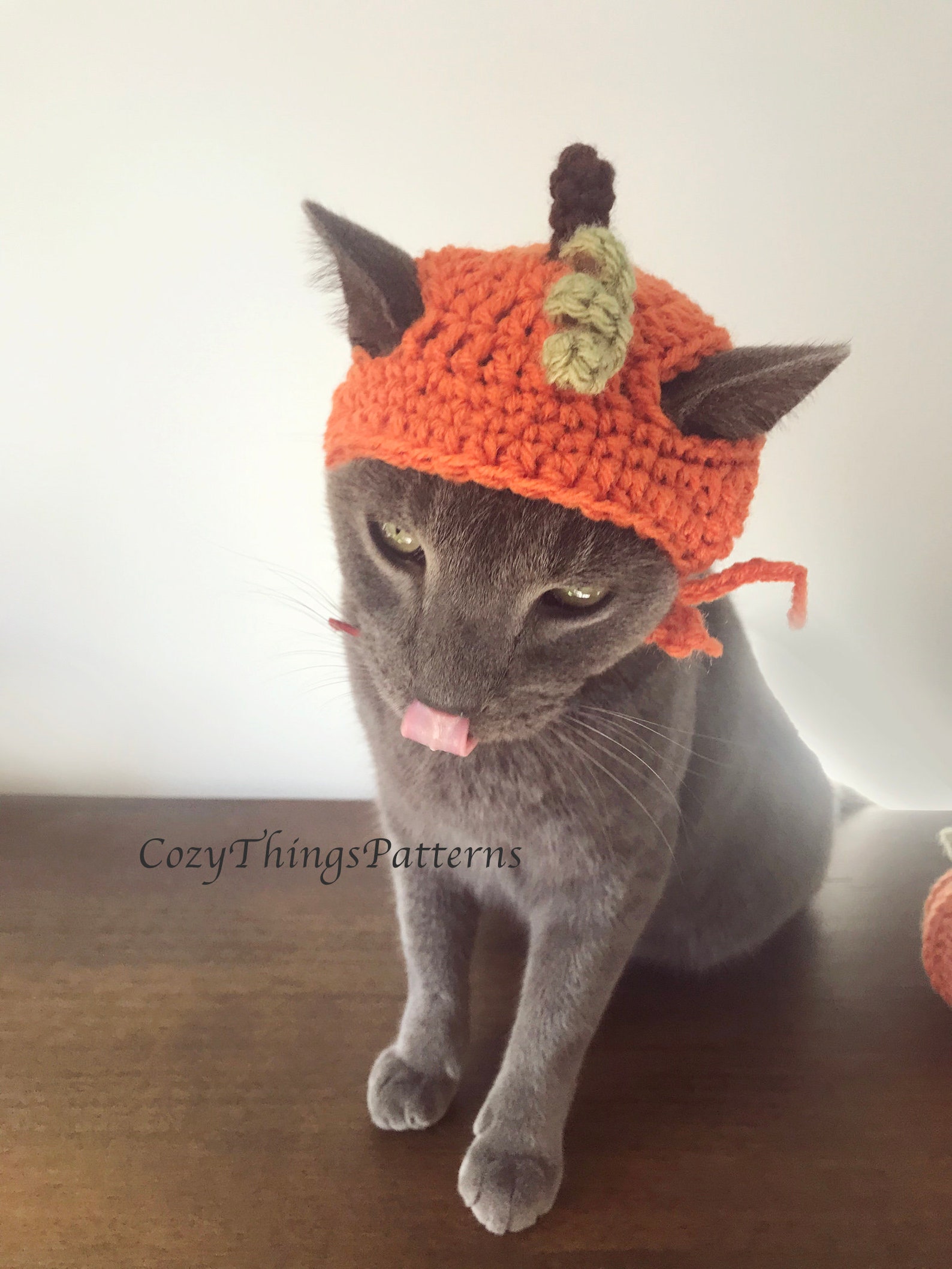Crochet Pattern 054 Cat Pumpkin Hat Small Dog Pumpkin Hat Etsy