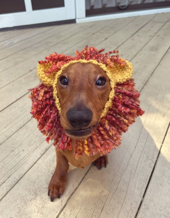 Crochet Pattern #085 Lion Snood, Dog Ear Warmer, Dog Hood Pdf