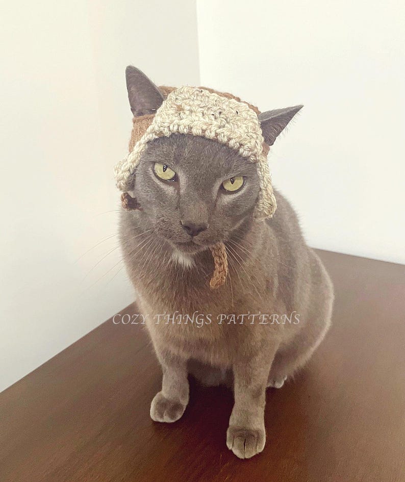 May include: A gray cat wearing a brown and beige crocheted hat with a long brown tassel. The cat is sitting on a wooden surface. The text "Cozy Things Patterns" is visible on the surface.