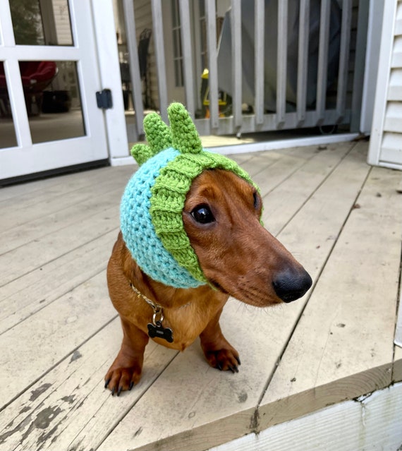 Dog ear warmers hot sale