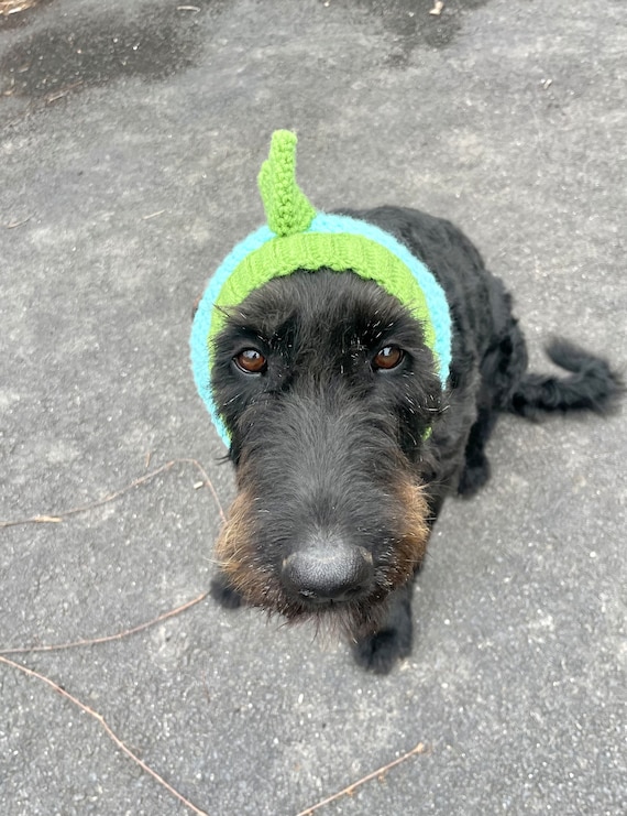 トップス UNUSED Gourd pattern mesh dog ear jacket GOURD PATTERN MESH DOG EAR JACKET - 投稿｜Prophet / amplamp