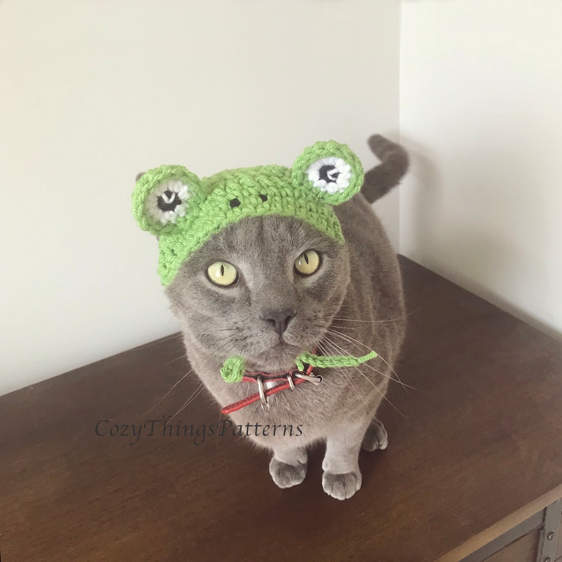 Puede incluir: Un gato gris con un gorro de rana de ganchillo verde con ojos blancos. El gato est&aacute; mirando directamente a la c&aacute;mara. El gorro tiene un cuerpo verde y orejas blancas. El gato lleva un collar rojo.