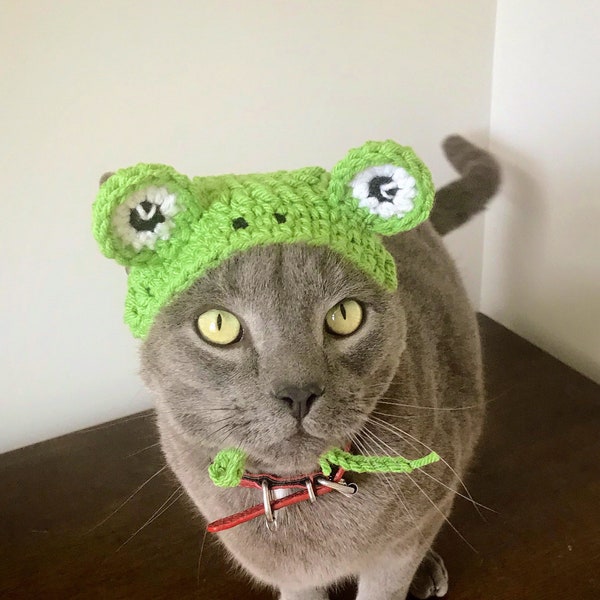 Cat Frog Hat, Small Dog Frog Hat, Easter Cat Costume,  Hat for Cat, Hat for Dog