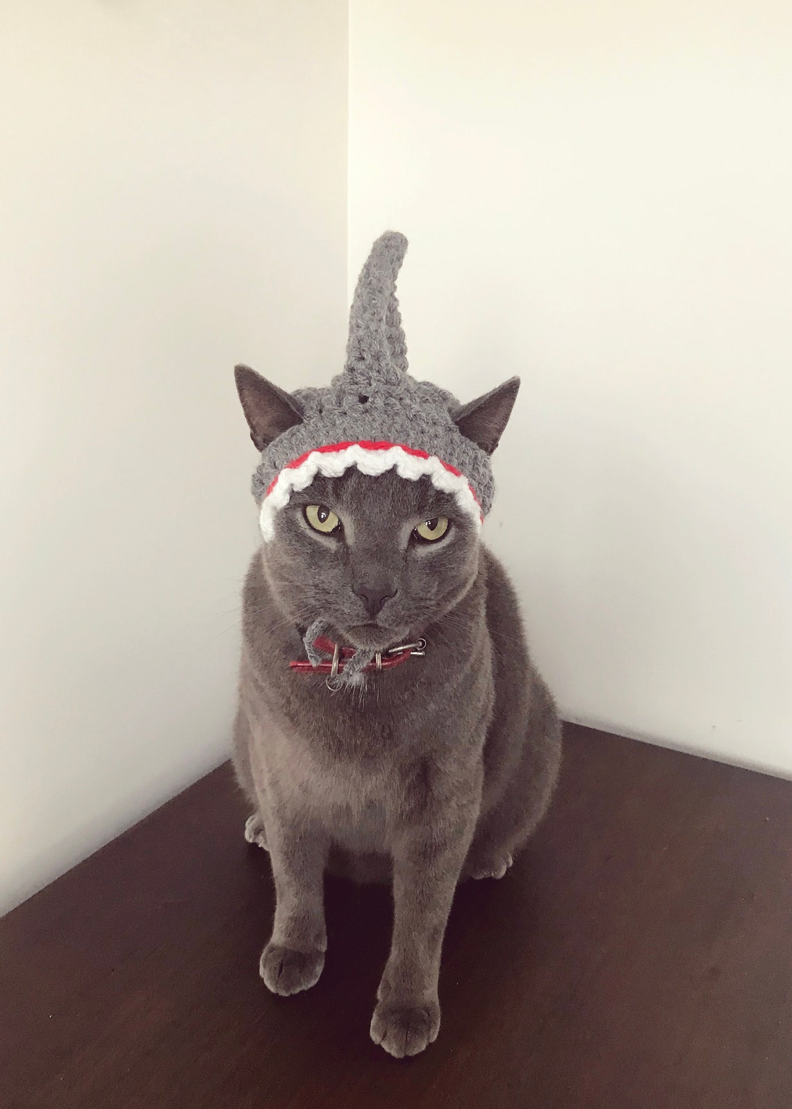 Crochet pattern 065 Cat Shark Hat Small Dog Shark Hat Etsy