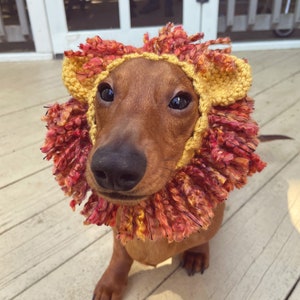Lion dog snood, Dog hat, Dog hood, Dog snood pet costume,Lion snood for dog