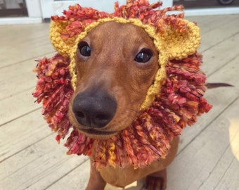 Lion dog snood, Dog hat, Dog hood, Dog snood pet costume,Lion snood for dog